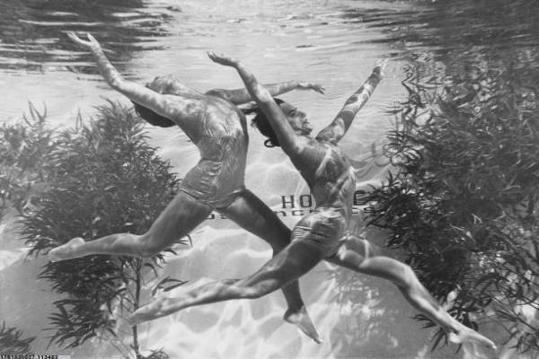 全球范围内最受欢迎的十大体育项目